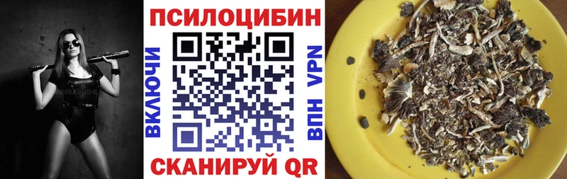 как найти нарко площадка официальный сайт Галлюциногенные грибы Magic Shrooms Сибай МЕГА ONION