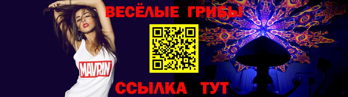 Галлюциногенные грибы GOLDEN TEACHER  Псилоцибиновые грибы Magic Shrooms  Сибай  Вход с VPN 